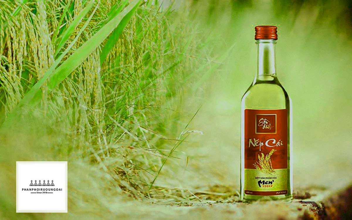 Rượu nếp cái hoa vàng -Nét văn hóa và những câu chuyện thú vị về Rượu nếp cái hoa vàng