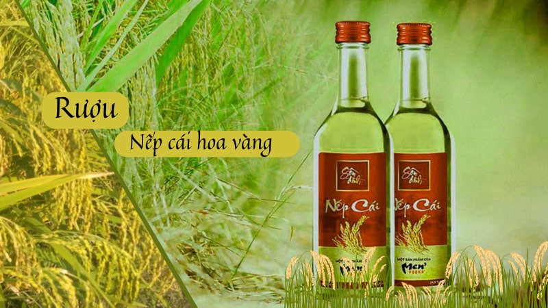 Rượu nếp cái hoa vàng -Nét văn hóa và những câu chuyện thú vị về Rượu nếp cái hoa vàng